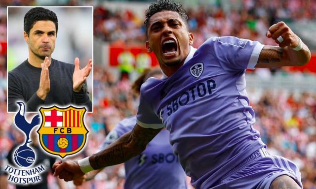 1657986296339037983.jpg 1657985991728.jpg